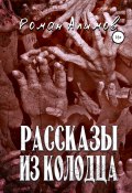 Рассказы из колодца (Роман Алимов, 2022)