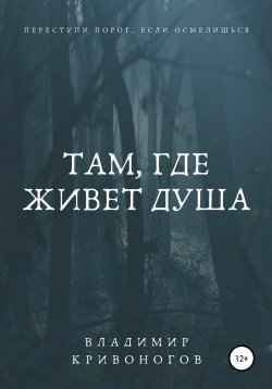 Книга "Там, где живет душа" – Владимир Кривоногов, 2022