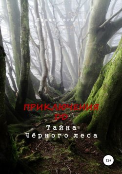 Книга "Приключения ДД. Тайна Чёрного леса" – Евгения Ляшко, 2022