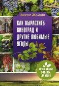 Книга "Как вырастить виноград и другие любимые ягоды / Простые и понятные инструкции для начинающих" (Виктор Жвакин, 2021)