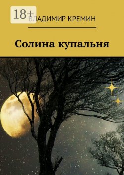 Книга "Солина купальня" – Владимир Кремин