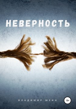 Книга "Неверность" – Владимир Шеин, 2021