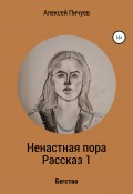 Ненастная пора. Часть 1 (Алексей Пичуев, 1994)