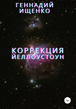 Книга "Коррекция" – Геннадий Ищенко, 2014