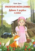 Книга "Приключения лисёнка Джимми. Девочка в розовом платье" (Сергей Духин, 2022)