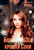 Большой босс для крошки Сони (Екатерина Антонова, 2022)