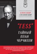 Книга "«ГESS». Тайный план Черчилля" (Александр Сосновский, 2022)