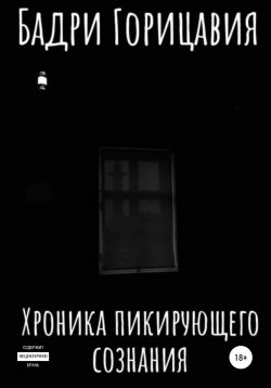 Книга "Хроника пикирующего сознания" – Бадри Горицавия, 2022