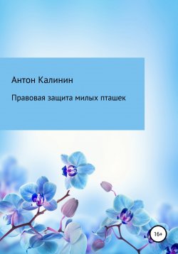 Книга "Правовая защита милых пташек" – Антон Калинин, 2022