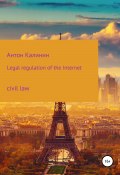 Legal regulation of the Internet (Антон Калинин, 2022)