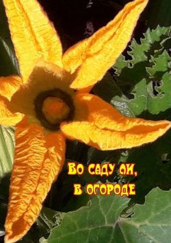 Книга "Во саду ли, в огороде" – Н. Козлова