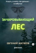 Зачаровывающий лес (Евгений Матвеев, 2022)