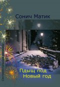 Книга "Пдыщ под Новый год" (Сонич Матик, 2022)
