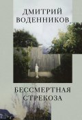 Бессмертная стрекоза / Эссе (Дмитрий Воденников, 2022)