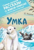 Книга "Умка / Рассказы" (Юрий Яковлев, 2022)