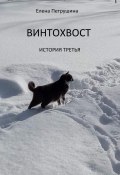 Винтохвост-3 (Елена Петрушина, 2022)