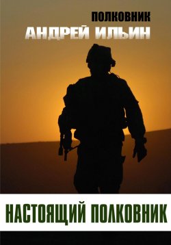 Книга "Настоящий полковник" – Андрей Ильин, 2022