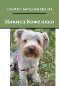 Никита Кожемяка (Владимир Токарев)