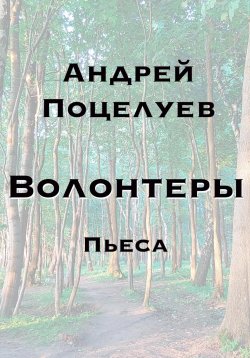 Книга "Волонтеры" – Андрей Поцелуев, 2022