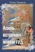 Книга "Асиль встречает новый год" (Матеуш Елена, 2022)