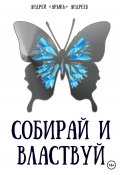 Книга "Собирай и властвуй" (Андрей «АрыкЪ» Андреев, 2022)