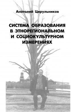 Книга "Система образования в этнорегиональном и социокультурном измерении" – Анатолий Цирульников, 2007