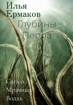 Книга "Сага о Мрачных Водах. Глубины Пепла" – Илья Ермаков, 2023