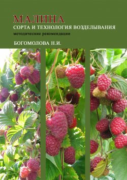 Книга "Малина: сорта и технология возделывания (методические рекомендации)" – Н. Богомолова, 2022
