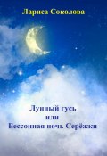 Лунный гусь, или Бессонная ночь Серёжки (Лариса Соколова, 2023)