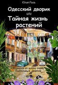Одесский дворик, или Тайная жизнь растений (Юлия Рысь, 2023)