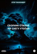 Сборник стихов «На снегу утопая» (Егор Паллхабер, 2023)