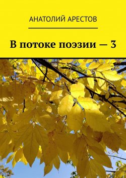 Книга "В потоке поэзии – 3" – Анатолий Арестов