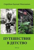 Путешествие в детство (Евгений Стребков, 2023)