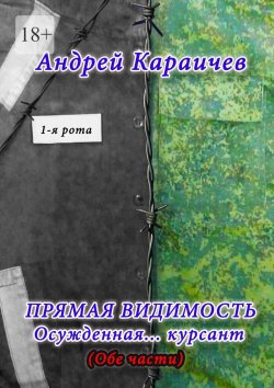 Книга "Прямая видимость. Осужденная… курсант" – Андрей Караичев