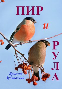 Книга "Пир и Рула" – Ярослав Зубковский, 2022