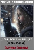 Новые приключения Даши, Аси и кошки Джу (Светлана Соболева, 2023)