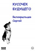 Книга "Кусочек будущего" (Сергей Белокрыльцев, 2023)