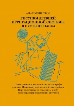 Книга "Рисунки древней ирригационной системы в пустыне Наска" – Анатолий Стор, 2023