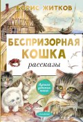 Беспризорная кошка / Рассказы (Борис Житков, 2023)