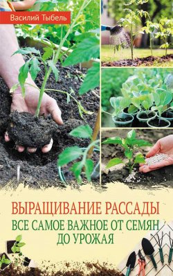 Книга "Выращивание рассады. Все самое важное от семян до урожая" – Василий Тыбель, 2021