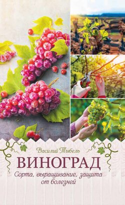 Книга "Виноград. Сорта, выращивание, защита от болезней" – Василий Тыбель, 2020