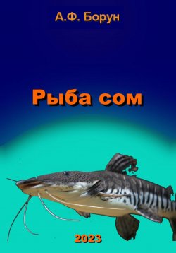 Книга "Рыба сом" – Александр Борун, 2023