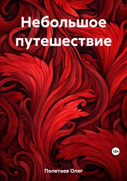 Книга "Небольшое путешествие" – Олег Полетаев, 2023