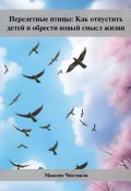 Перелетные птицы: Как отпустить детей и обрести новый смысл жизни (Максим Чистяков, 2023)