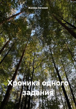 Книга "Хроника одного задания" – Евгений Жиляев, 2023
