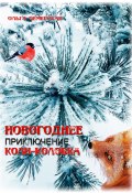 Новогоднее приключение Коли-Колобка (Ольга Чемерская, 2023)