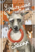 Удивительные истории о собаках / Сборник рассказов (Александр Бессонов, Александр Цыпкин, и ещё 23 автора, 2024)