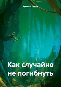 Книга "Как случайно не погибнуть" – Туманов Вадим, 2023