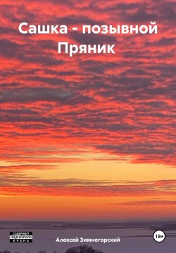 Книга "Сашка – позывной Пряник" – Алексей Зимнегорский, 2024