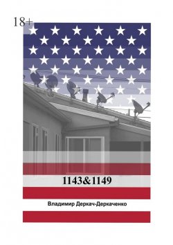 Книга "1143&1149. Как живут бедные американцы?" – Владимир Деркач-Деркаченко